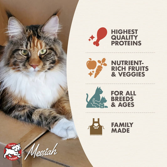 Fromm Game Bird Recipe Dry Cat Food - 4.54kg - The Pet Source