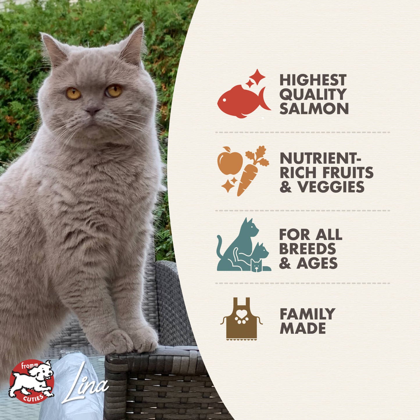 Fromm Salmon À La Veg Recipe Dry Cat Food - 4.54kg - The Pet Source