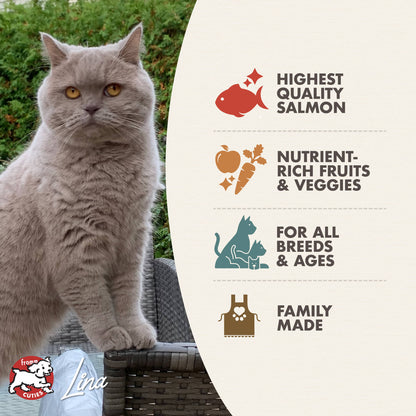 Fromm Salmon À La Veg Recipe Dry Cat Food - 4.54kg - The Pet Source