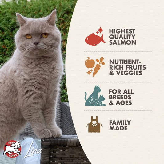 Fromm Salmon À La Veg Recipe Dry Cat Food - 4.54kg - The Pet Source