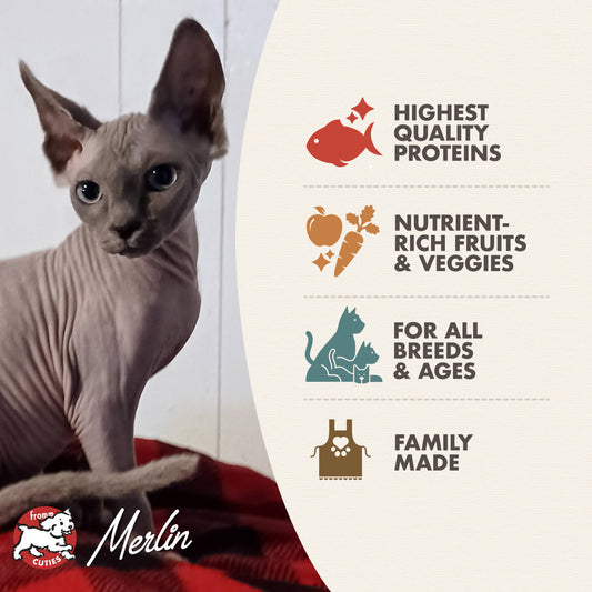 Fromm Trout & Whitefish Recipe Dry Cat Food - 4.54kg - The Pet Source