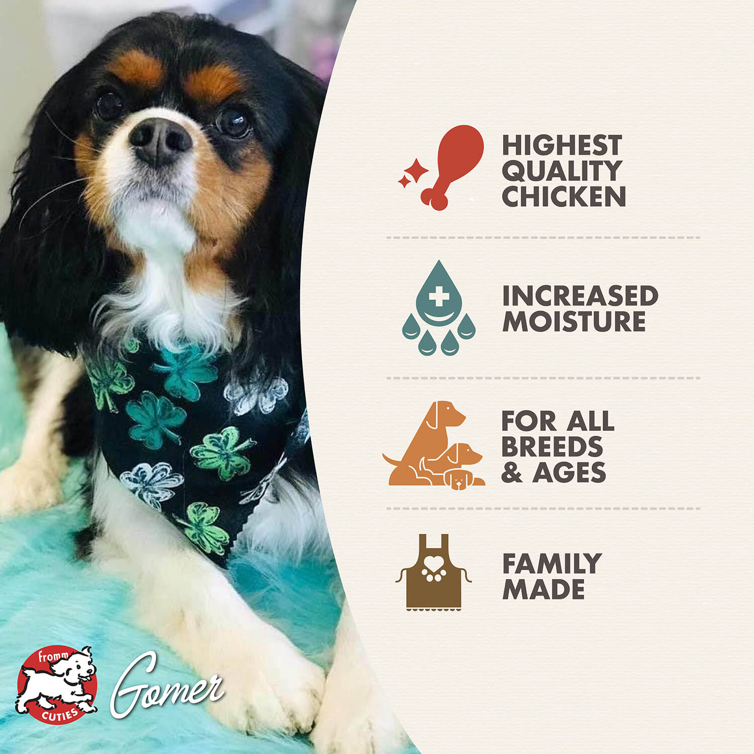 Fromm Chicken Pâté Wet Dog Food - 12.2oz - The Pet Source