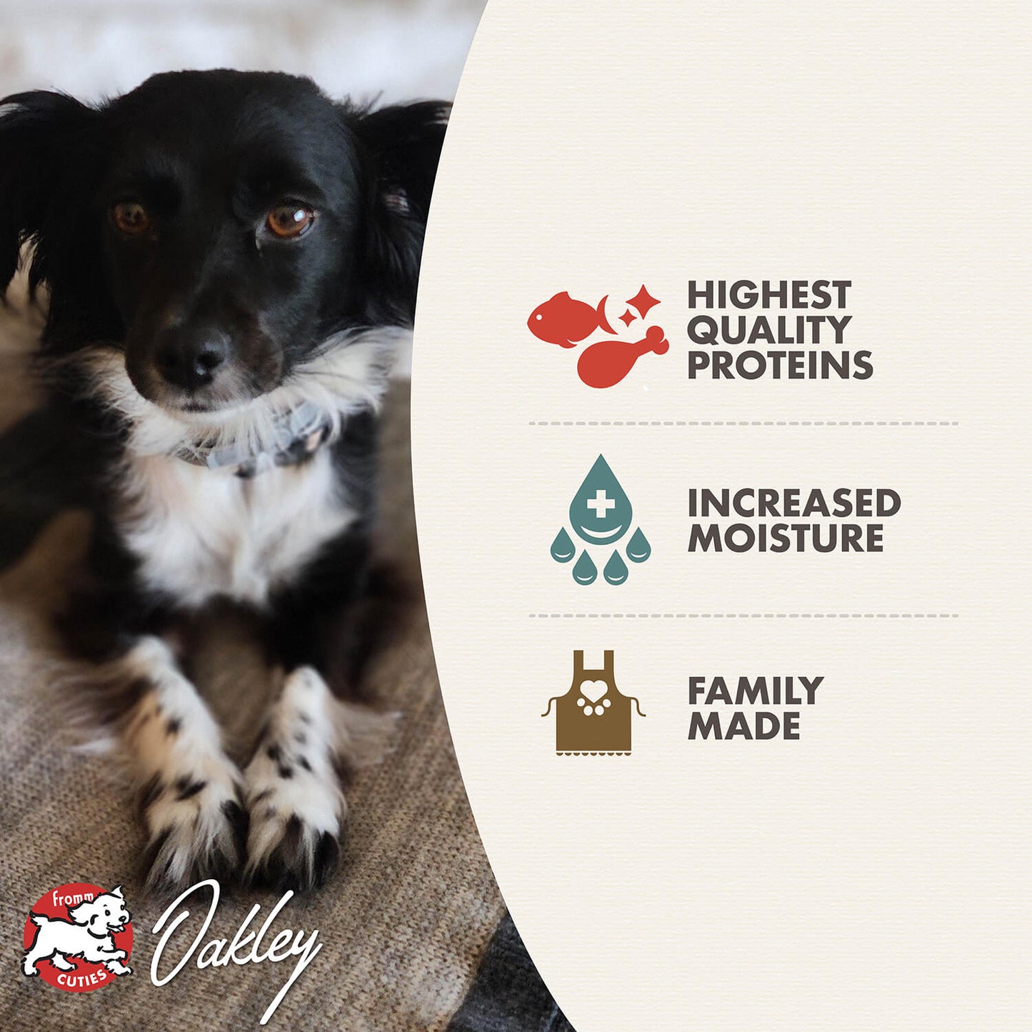 Fromm Salmon & Chicken Pâté Wet Dog Food - 12.2oz - The Pet Source