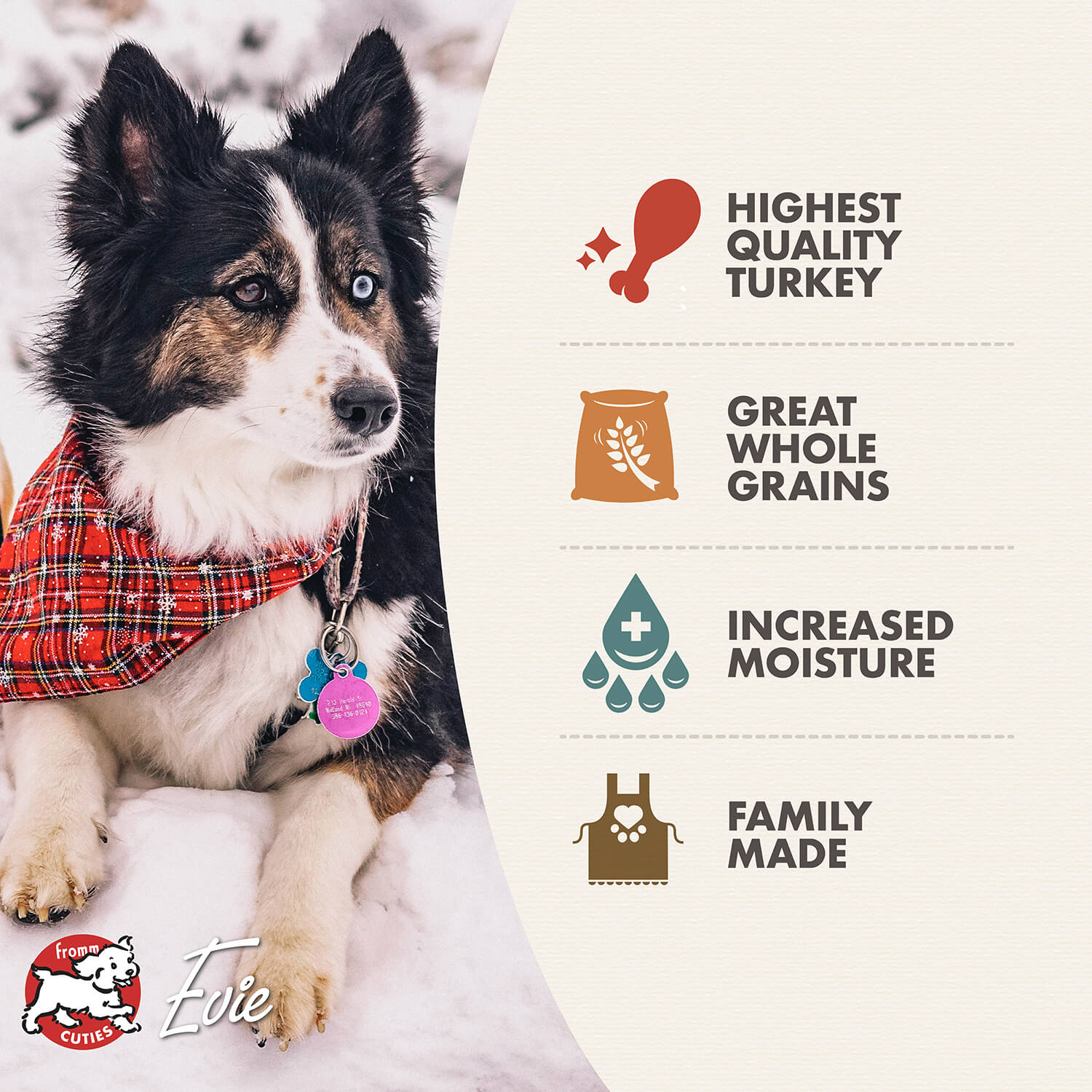 Fromm Turkey Pâté Wet Dog Food - 12.2oz - The Pet Source