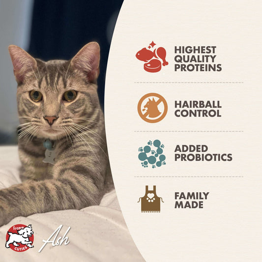 Fromm Indoor Cat Gold Dry Cat Food - 4.5kg - The Pet Source