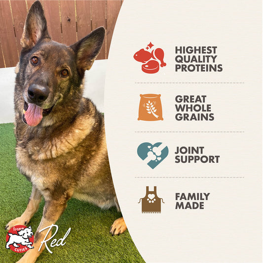 Fromm Reduced Activity & Senior Gold Dry Dog Food - 13.6kg - The Pet Source