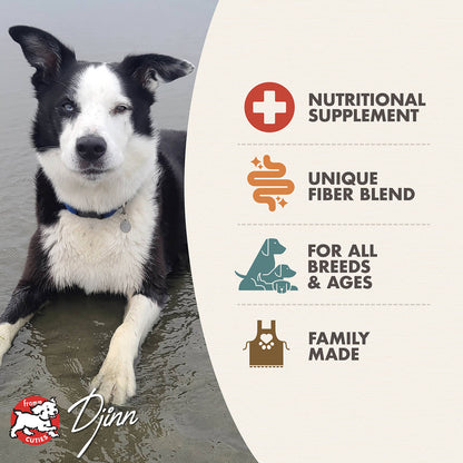 Fromm Nutritionals Whitefish Formula Wet Dog Food - 12.2oz - The Pet Source