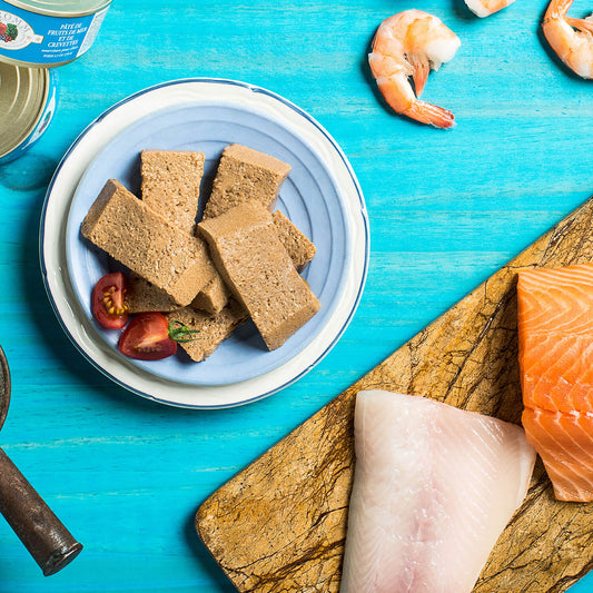 Fromm Four Star Seafood & Shrimp Pâté Wet Cat Food - 155g - The Pet Source