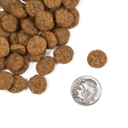 Fromm Classic Mature Adult Dry Dog Food - 13.6kg - The Pet Source