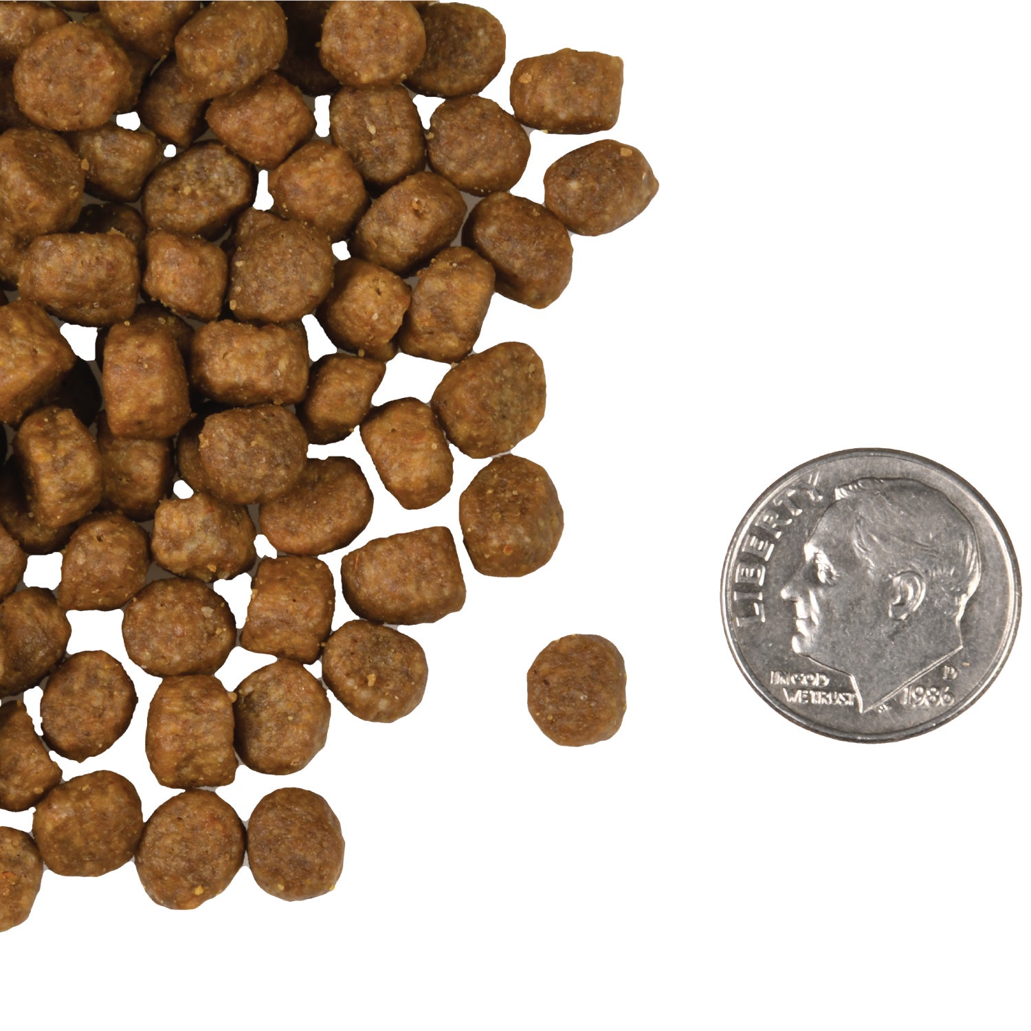 Fromm Salmon À La Veg Recipe Dry Cat Food - 4.54kg - The Pet Source