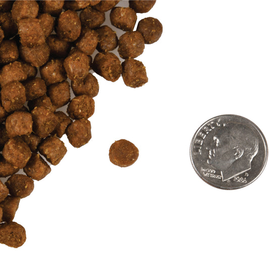 Fromm Trout & Whitefish Recipe Dry Cat Food - 4.54kg - The Pet Source