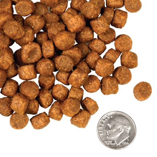 Fromm Four Star Nutritionals Game Bird Recipe Dry Dog Food - 11.8kg - The Pet Source