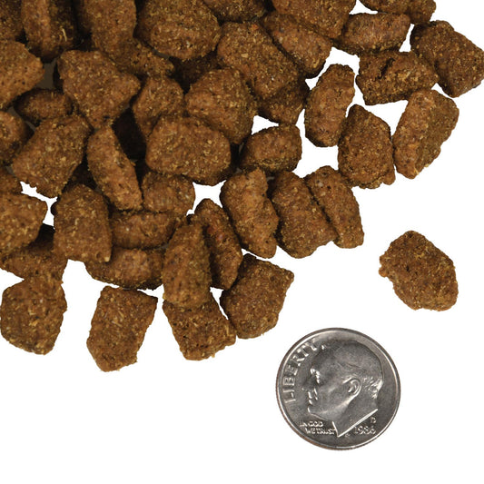 Fromm Four Star Nutritionals Highlander Beef, Oats, 'n Barley Recipe Dry Dog Food - 11.8kg - The Pet Source