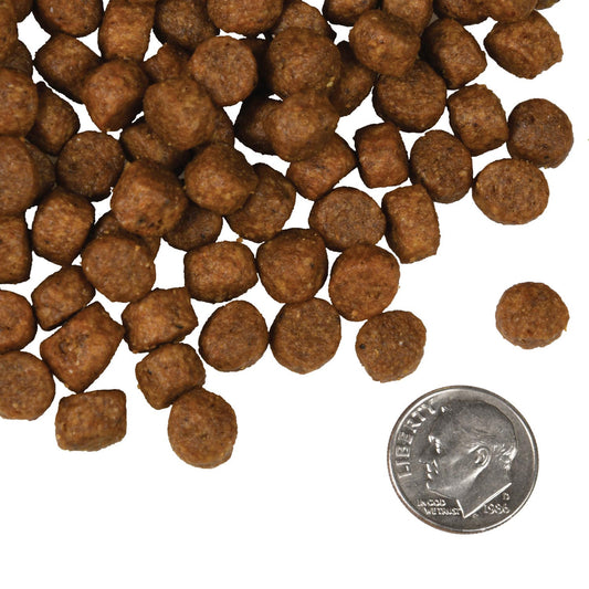 Fromm Four Star Nutritionals Salmon Tunalini Recipe Dry Dog Food - 11.8kg - The Pet Source