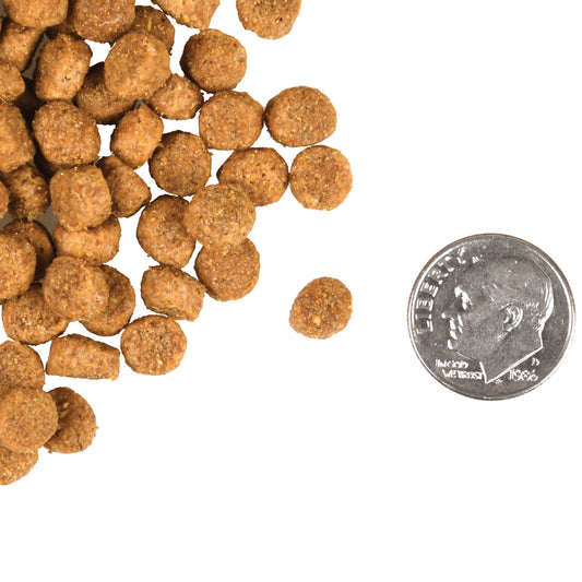 Fromm Healthy Weight Gold Dry Cat Food - 4.5kg - The Pet Source