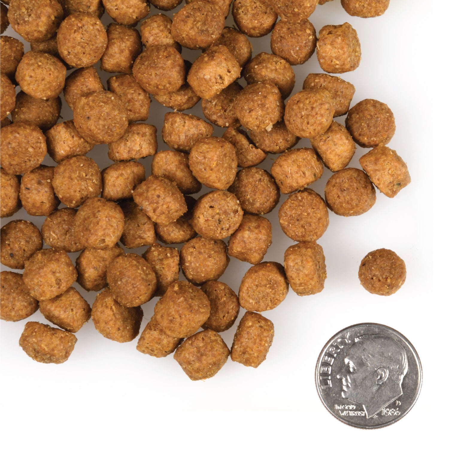 Fromm Large Breed Puppy Gold Dry Dog Food - 2.3kg - The Pet Source