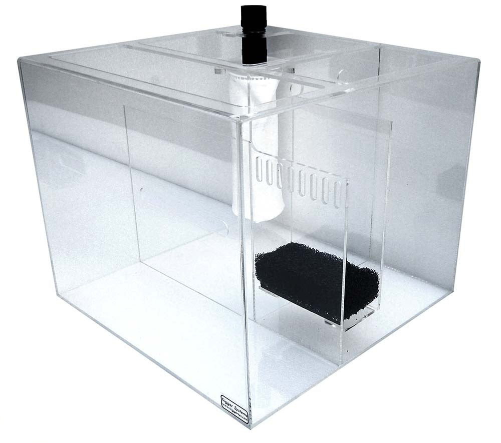 Trigger Systems Crystal Cube Sump 18C - 18 inch - The Pet Source