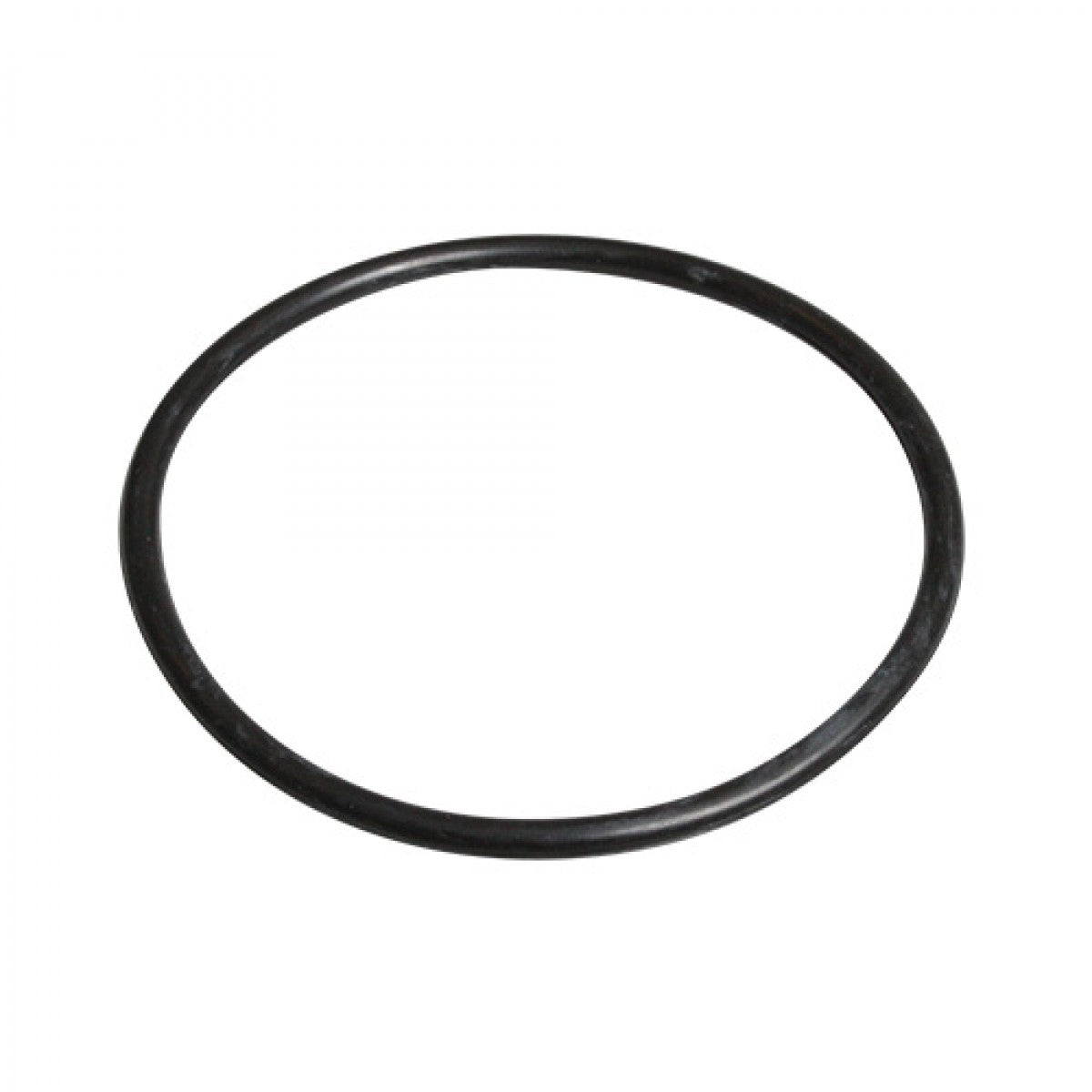 Two Little Fishies PhosBan Reactor 550 Replacement O-Ring - The Pet Source